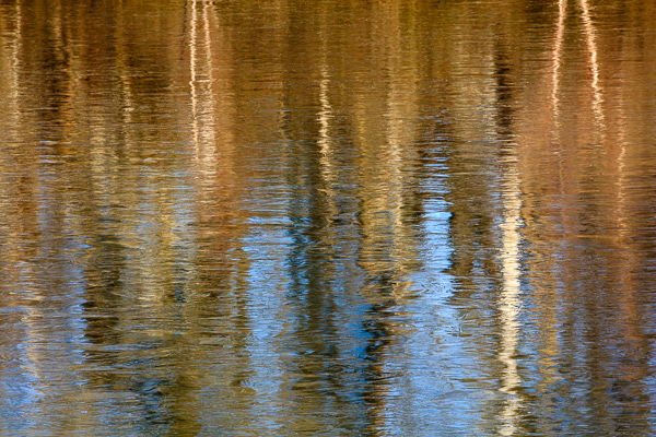 Abstract;Abstraction;Blue;Brown;Calm;Forest;Forested;Gold;Healing;Health care;Healthcare;Line;Minimalism;Mirror;Nature;Pastoral;Ripple;River;Shape;Sunlight;Sunshine;Tan;Timber;Timberland;Tree;Water;Waterscape;Wood;Woodland;Woods;Yellow;lake;oneness;orange;pattern;peaceful;plants;reflection;reflections;restful;serene;soothing;sunlit;texture;tranquil;tree limbs;trees;zen